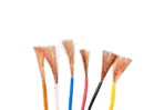 SKYWING Extensions